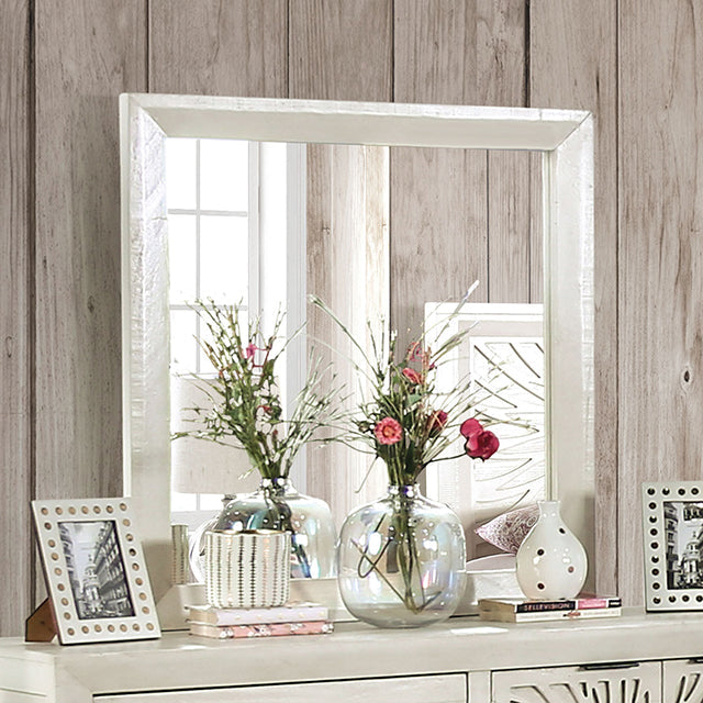 Geneva Youth Collection — Geneva Mirror