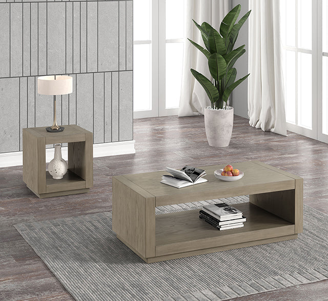 Dothan Living & Storage Collection