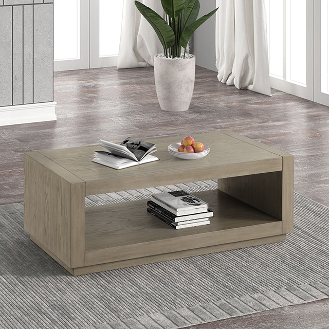 Dothan Living & Storage Collection — Dothan Coffee Table