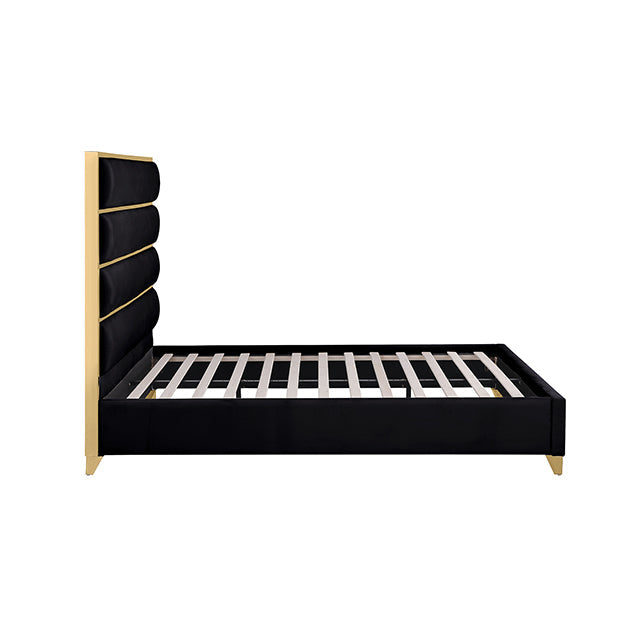 Andriola Bed