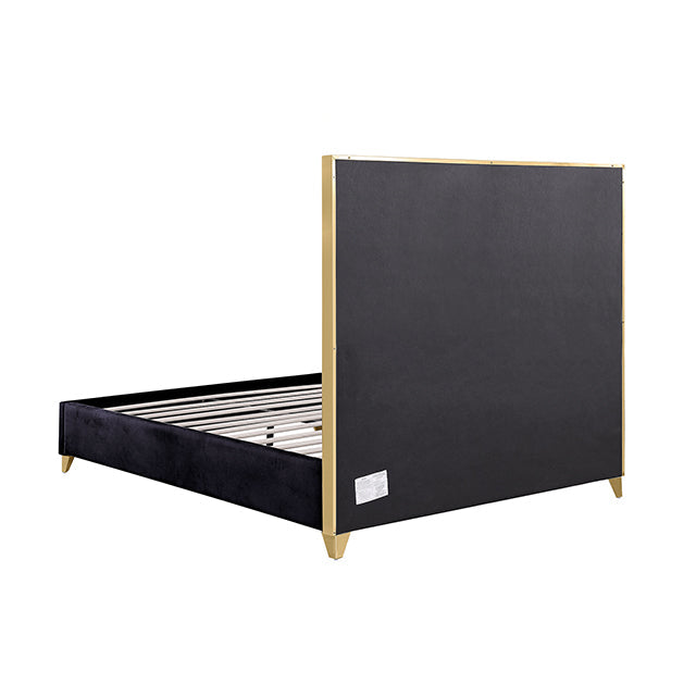 Andriola Bed