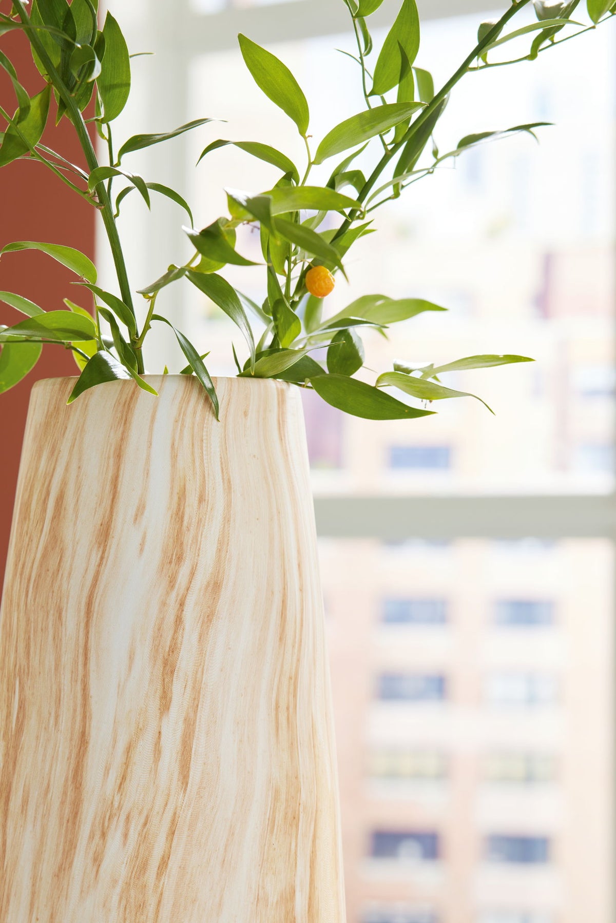 Cammen Decor — view 7
