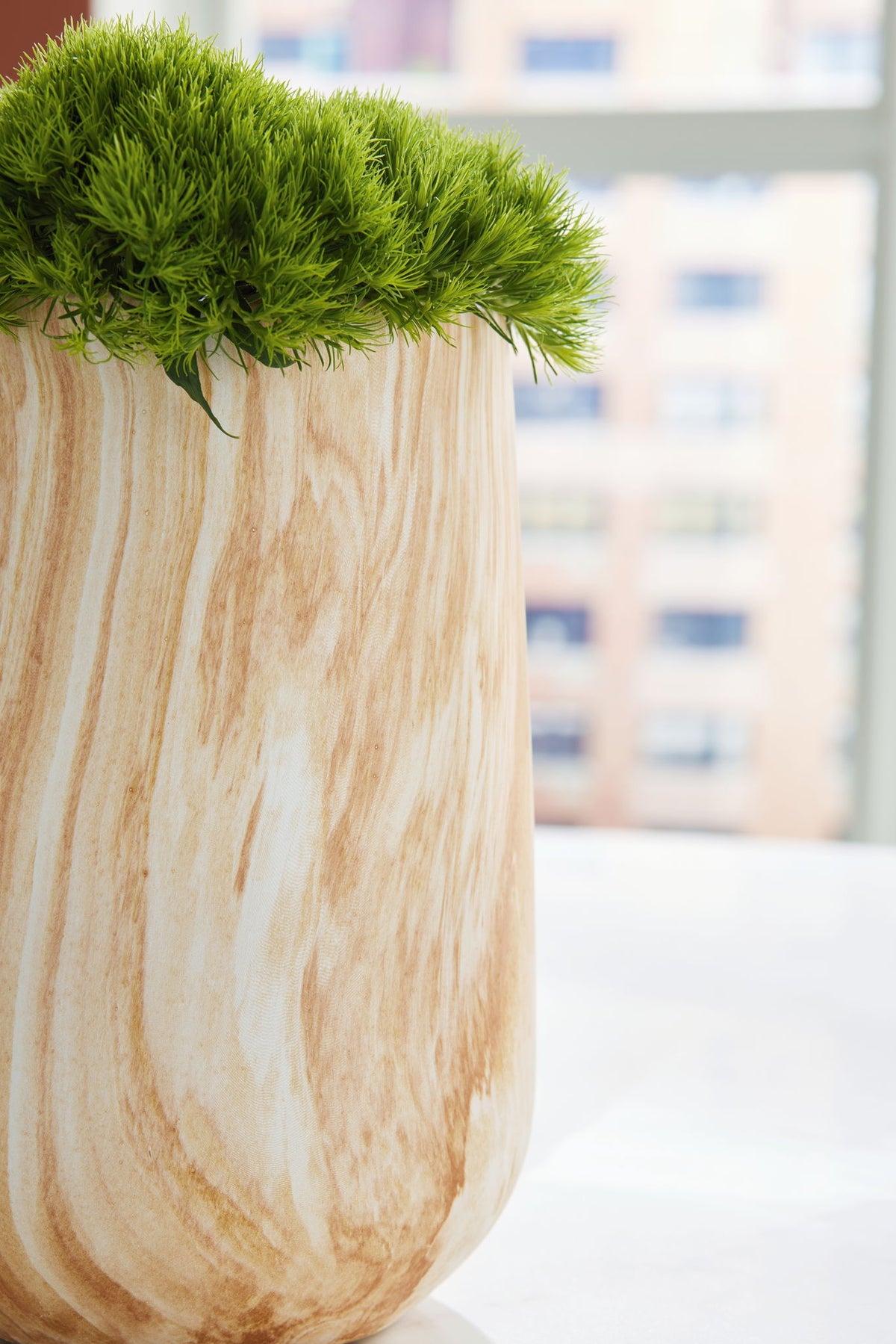 Cammen Decor — view 3